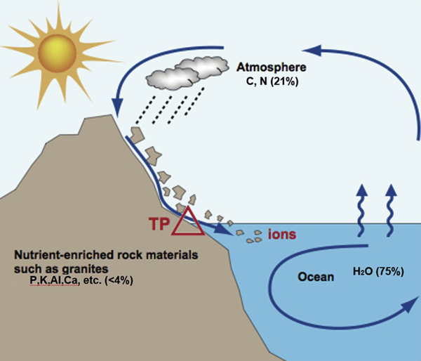 问: 如果地球没有陆地,海洋生物可能掌握科技吗?