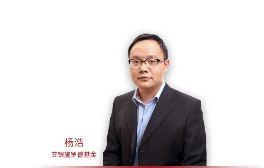 杨浩的交银新生活力,交银双息还能涨回来吗?