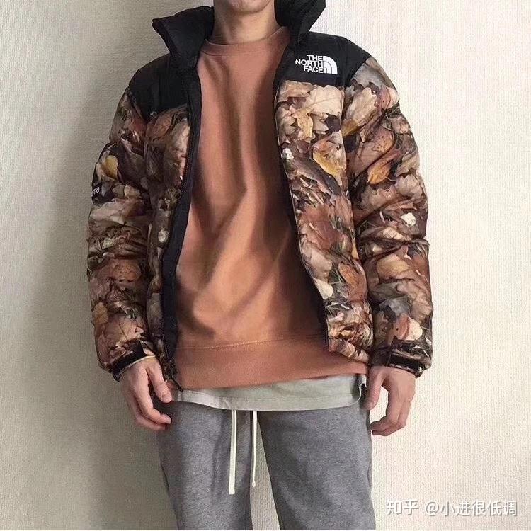 thenorthface北面tnfxsupreme联名落叶羽绒服展示讲解