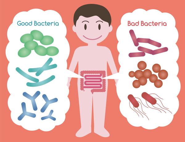 "好"细菌和"坏"细菌都在我们的体内生活