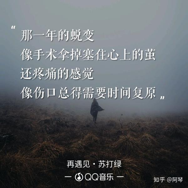 心怀耿耿还是释怀?