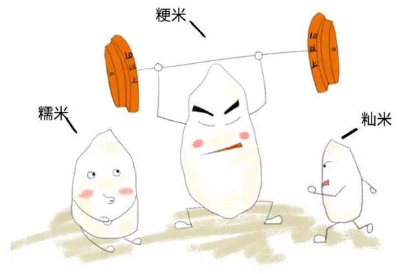现在,为大家隆重介绍 家族三大元老 元老一:粳米