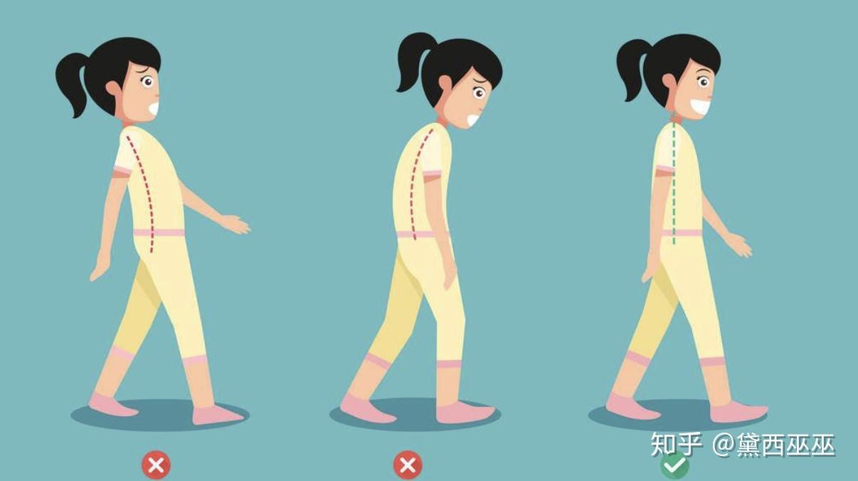 走路的正确姿势 zhuanlan.zhihu.com