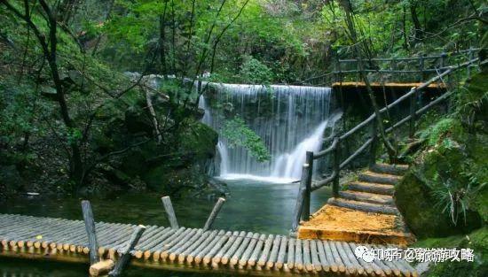 西峡寺山国家森林公园,天然氧吧放松心情好去处