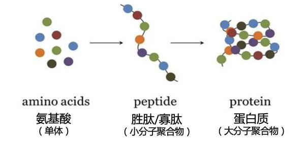 抗衰老一定要用热玛吉吗