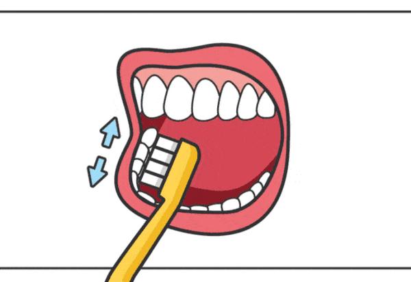 「口腔科普」饭后要不要刷牙?怎么刷?