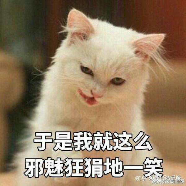 记一辈子,为这人生中少有的一次灵光乍现.