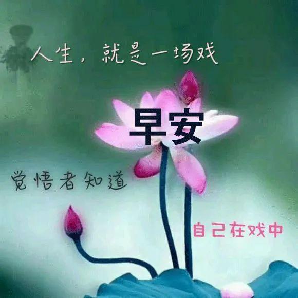 2021年精美的早安表情祝福图片,最漂亮的早安图片带字