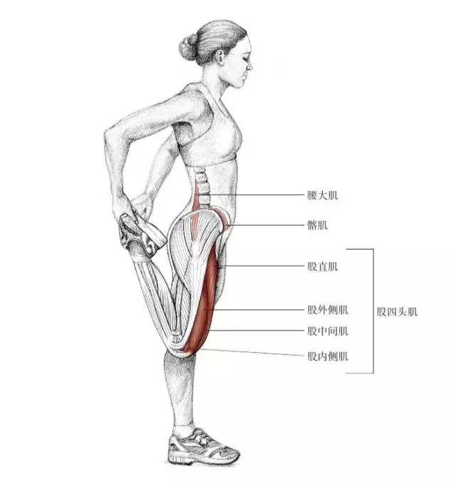 跑完步后,浑身酸痛甚至双腿发抖,都是肌肉中乳酸增多的正常现象,为了