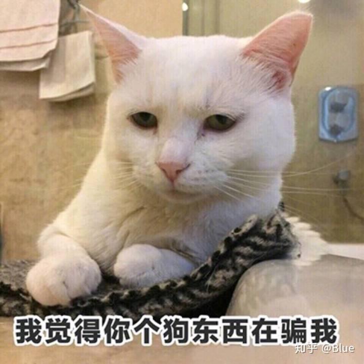 有哪些怼表情的死人?搜狗捂猴子眼睛表情包图片