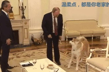 全国独家普京的一天