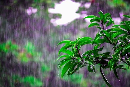 刮风时爱风,下雨时爱雨