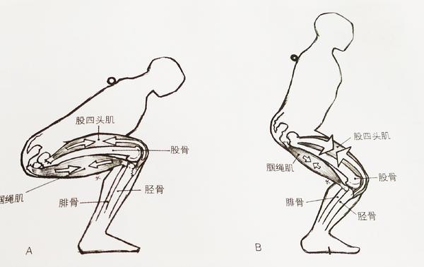 正确的深蹲深度: 大腿低于膝盖,骨盆最高点在膝盖最高点下方2-5厘米的