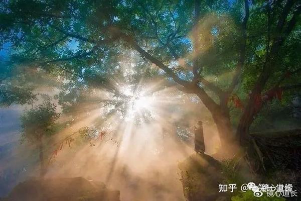 《修真记》08:打坐时进入的妙境