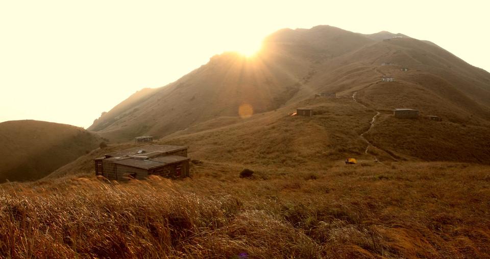 大东山赏黄金芦苇荡风景秀美景色宜人