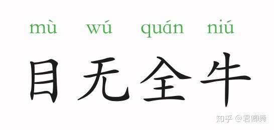 成语故事目无全牛