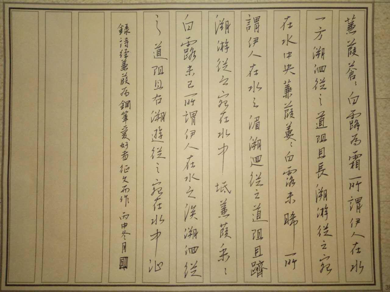 诗经《蒹葭》钢笔字笔友习作欣赏