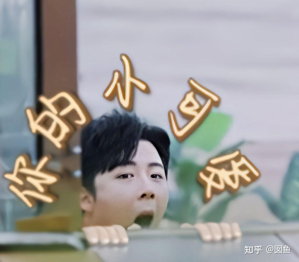 有没有好玩的刘宇宁表情包