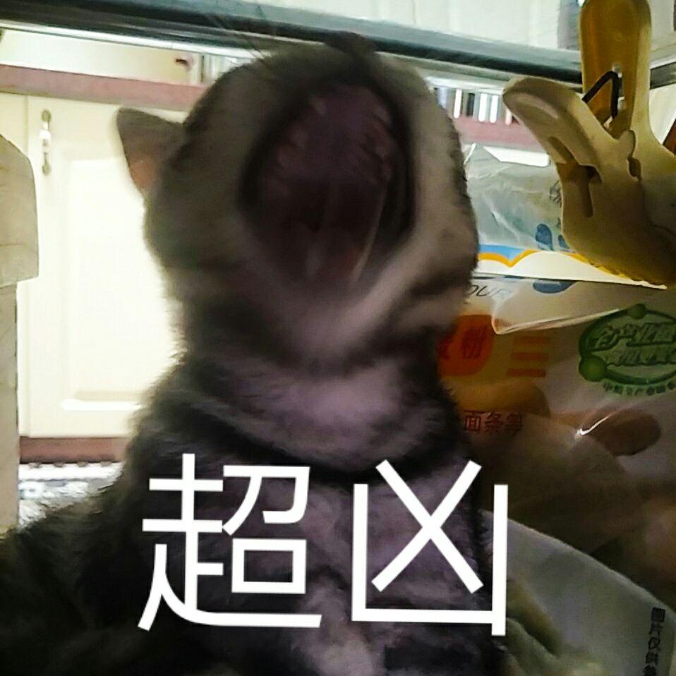 自己养的猫做的哪些图片让你觉得表情惊艳?最为包微信表情困困困图片