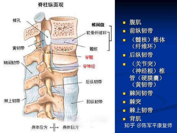 康复123为什么腰椎间盘突出症一定要开刀呢