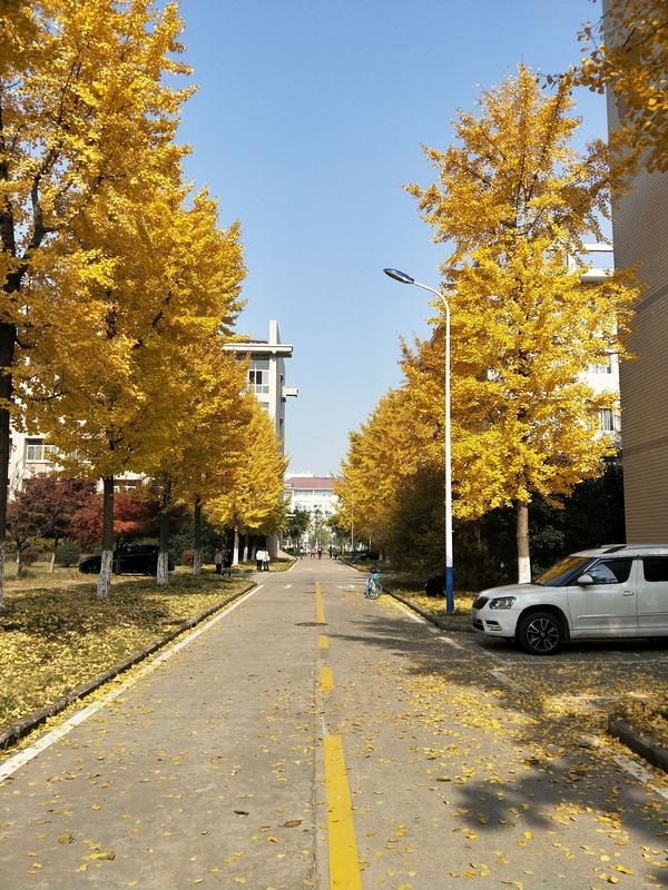 在安徽农业大学就读是怎样的一番体验?