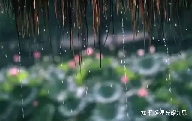 诗句中有雨和洋字的诗句有哪些