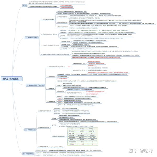 医学免疫学思维导图(九)b淋巴细胞