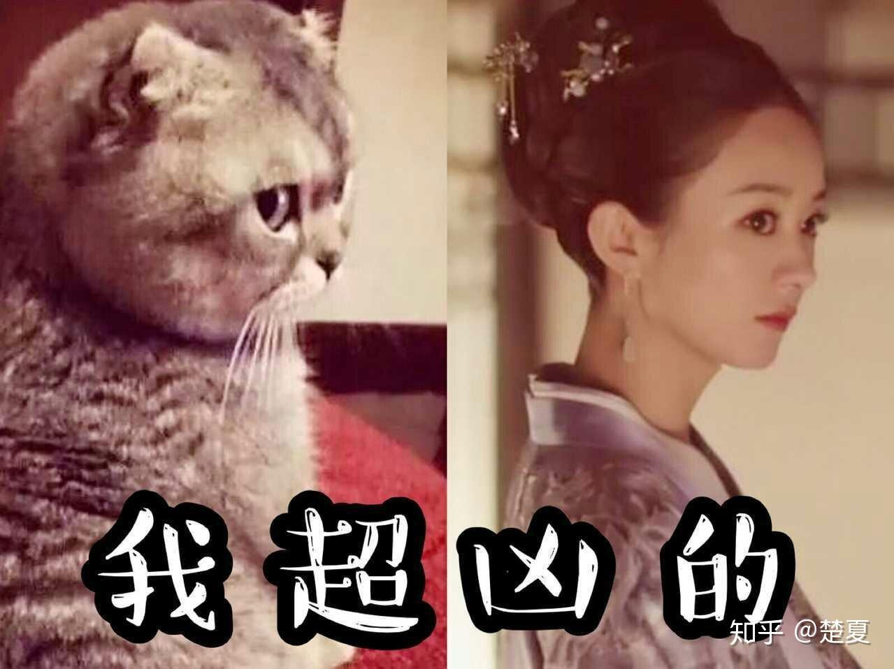 赵丽颖有什么出圈的神图