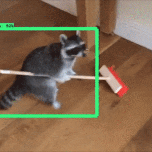 300_300gif 动态图 动图