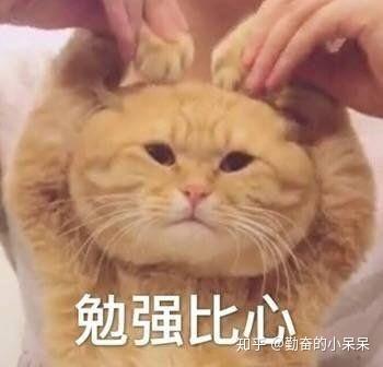 单身狗心里慌吗?