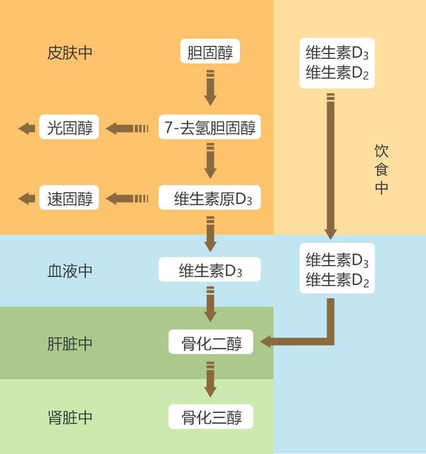 homepro小百科婴幼儿补充维生素d的正确方式