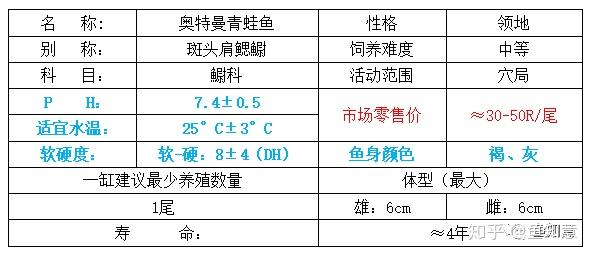 小型观赏鱼奥特曼青蛙鱼