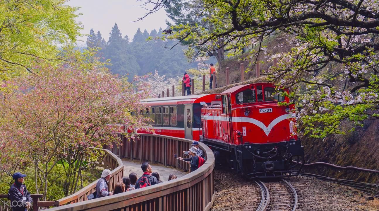 去台湾旅游一定要乘坐的阿里山小火车,被外媒高度赞扬