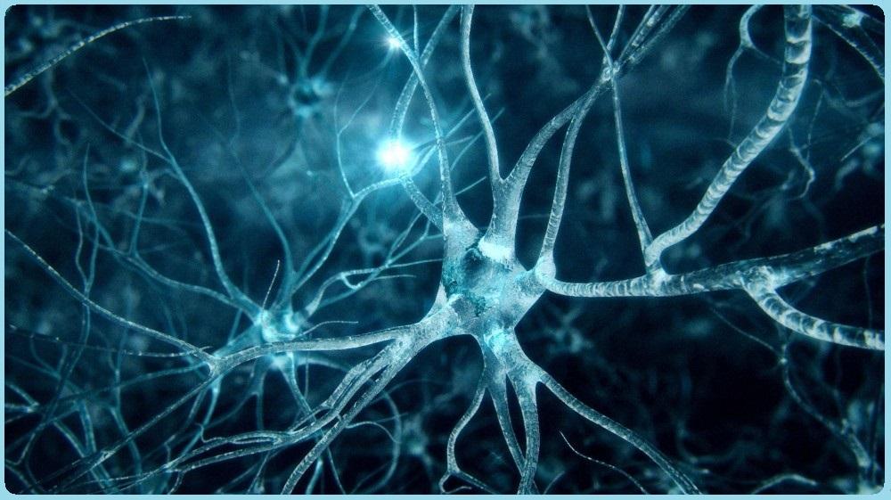 基于bp神经网络的图像质量评价参数优化_图像识别 神经网络_图像颜色识别