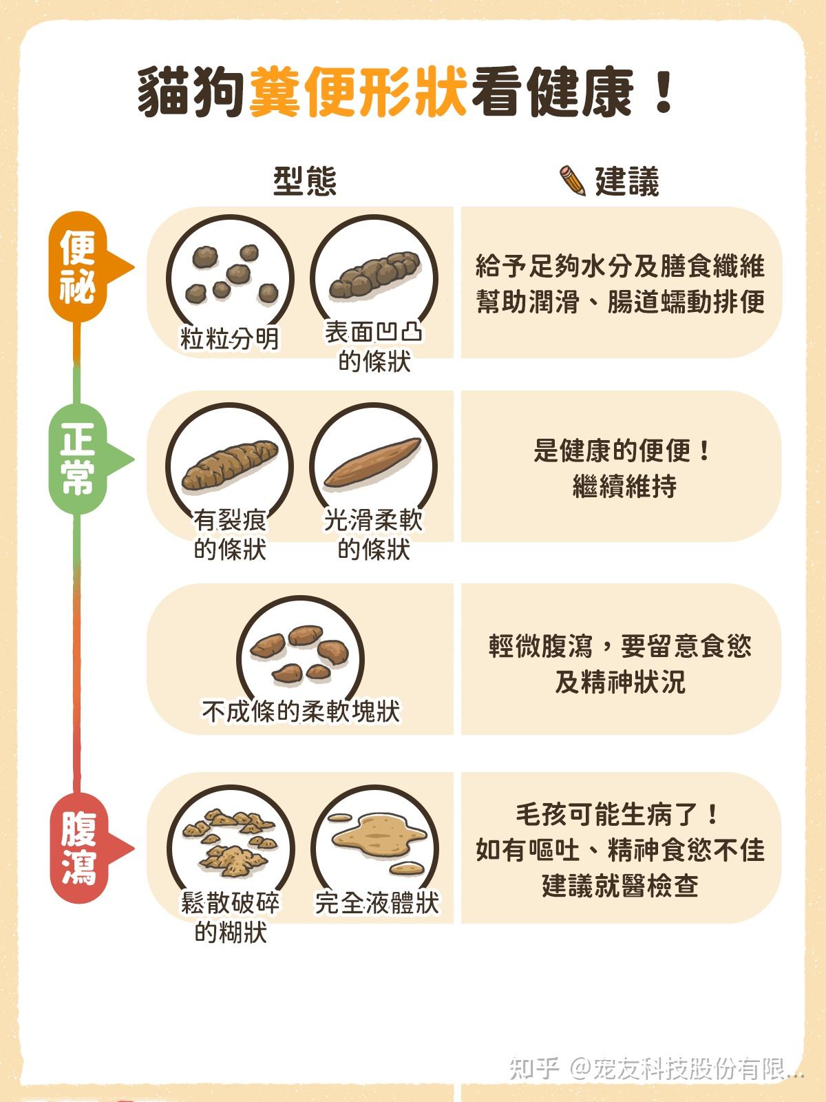 宠友科技猫狗软便拉肚子从大便形状颜色看毛孩健康