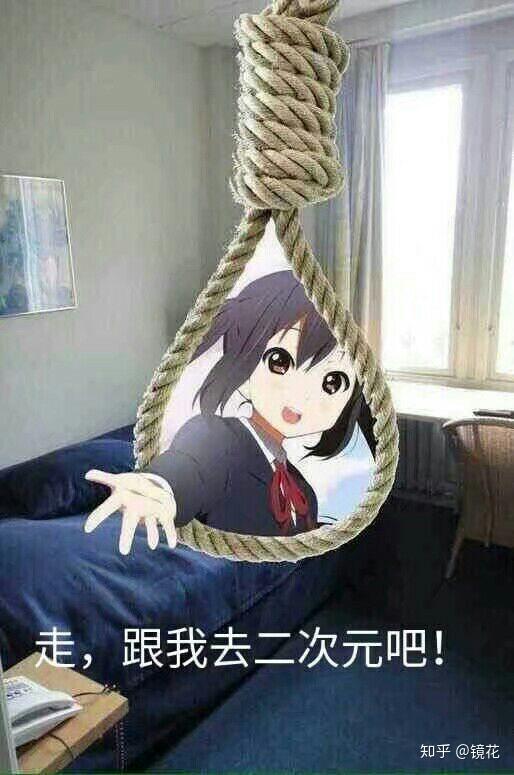 (表情包别当真……)
