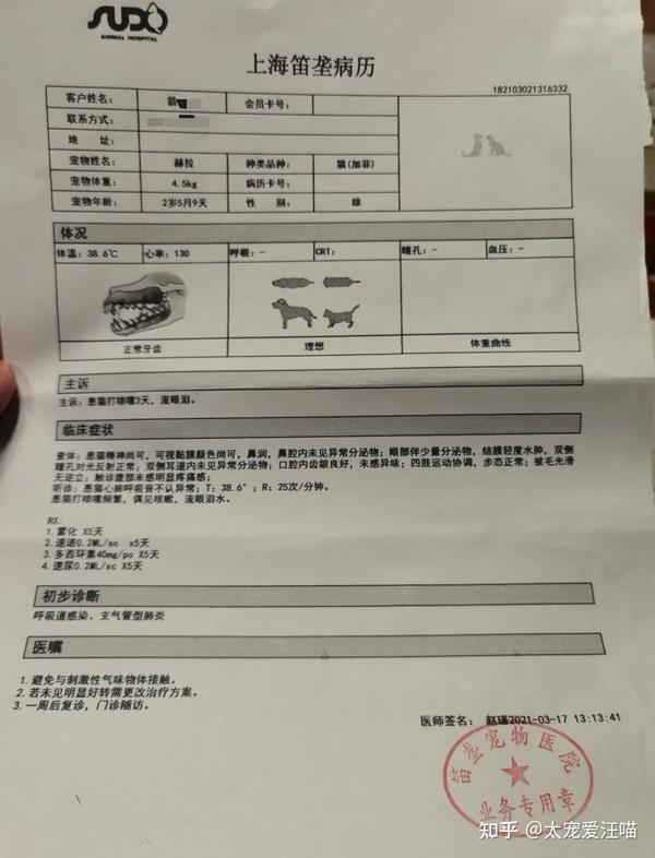 支气管肺炎丨太宠爱理赔案例上海笛垄宠物医院