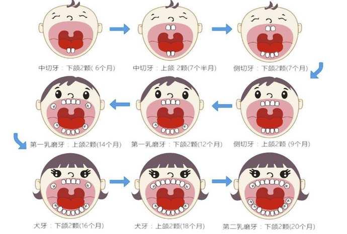 家长收藏孩子的正常换牙时间图