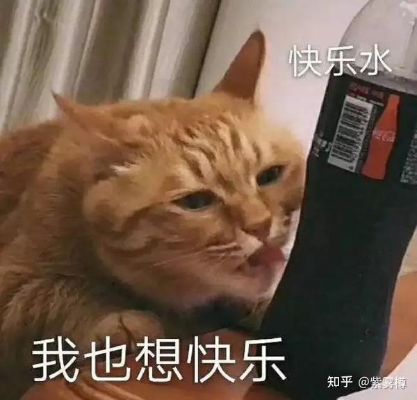 这小表情没谁了