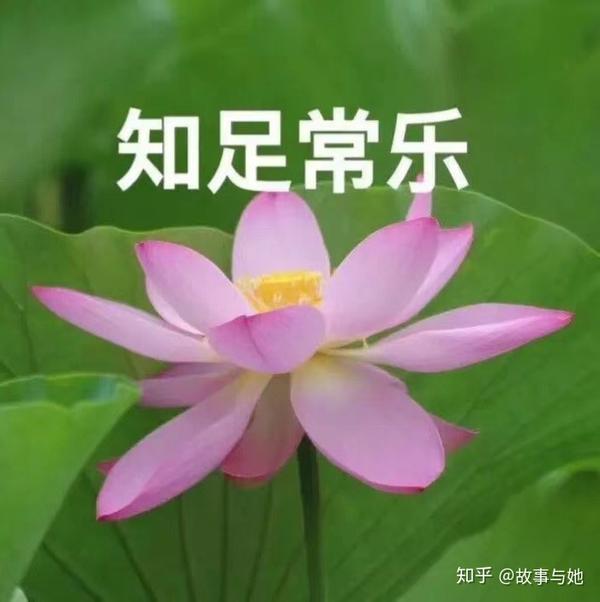 适合给父母的头像