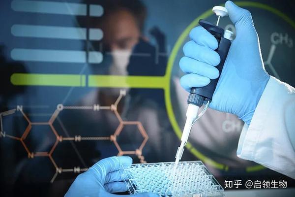 分子生物学实验之感受态细胞的制备与转化