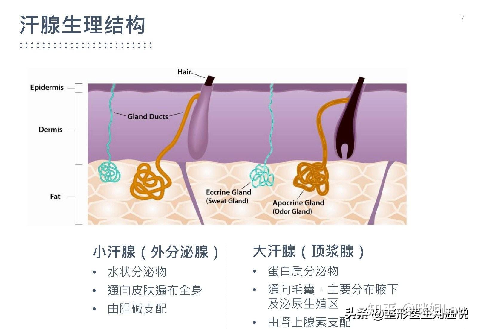 腋臭手术疤痕（微创）持续更新…… - 知乎