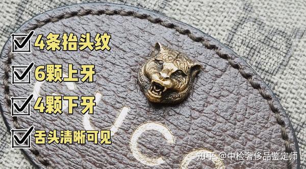 老虎上面有6颗牙,下面有4颗牙,整体脸型比较圆.