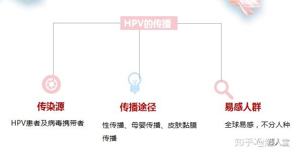 病毒的传播途径,以减少宫颈癌的风险,虽然避孕套的孔径比hpv病毒要大