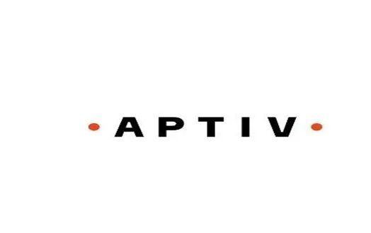 汽车零部件制造商aptiv上海工厂暂停部分生产