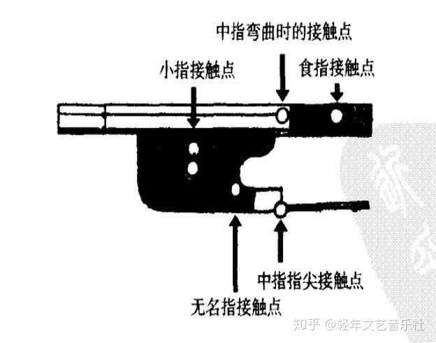 大提琴 | 一张图告诉你该怎么握弓