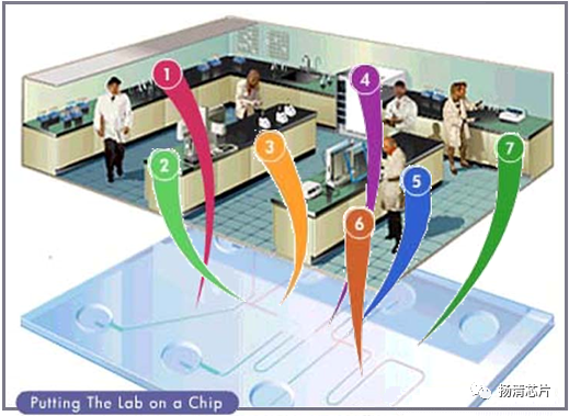 图1-3"微流控芯片实验室"概念展示,数字代表不同的操作单元