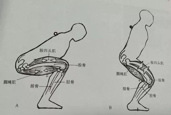 正确的前交叉韧带损伤康复如何做?