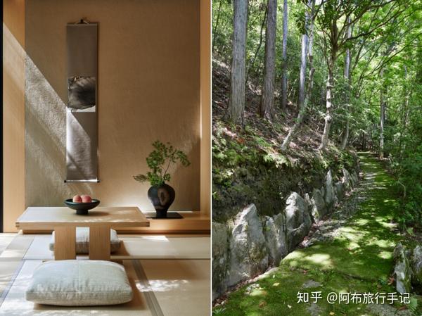 安缦京都的美都在这苔藓林道里了/官宣图