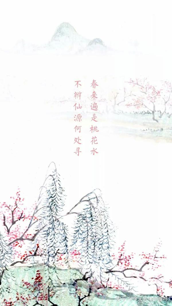 当诗词遇上中国山水画